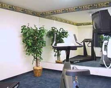 San Mateo Sfo Airport Hotel Ανέσεις φωτογραφία